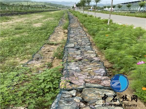 微信圖片_202007291443027.jpg 微信圖片_202007291443027.jpg